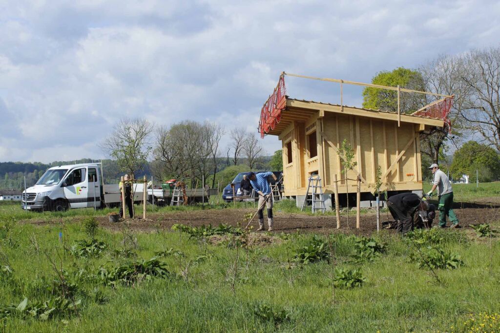 Projekt Biene | Bild | 2