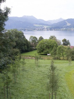 Klee_Gartenbau_Obstbaum_Tegernsee