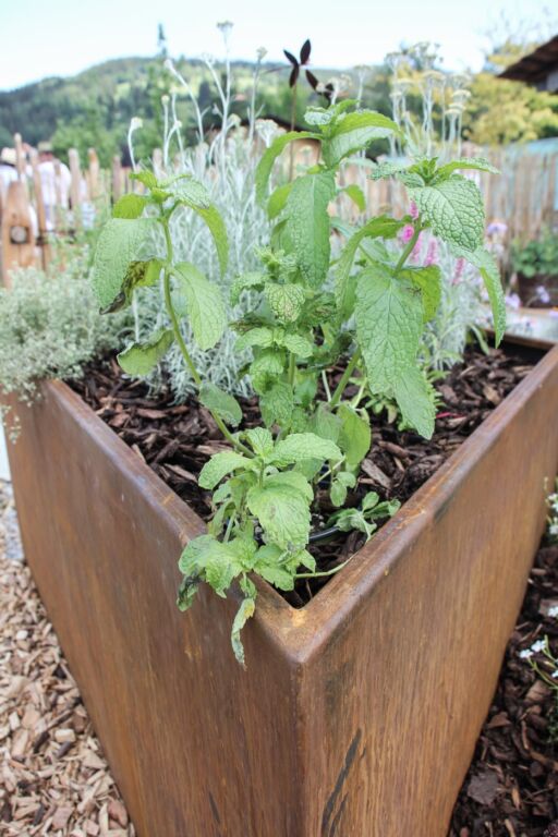 Jurypreis 2018 für unsere Gartengestaltung beim „Schlierseer Gartenzauber“ | Bild | 10