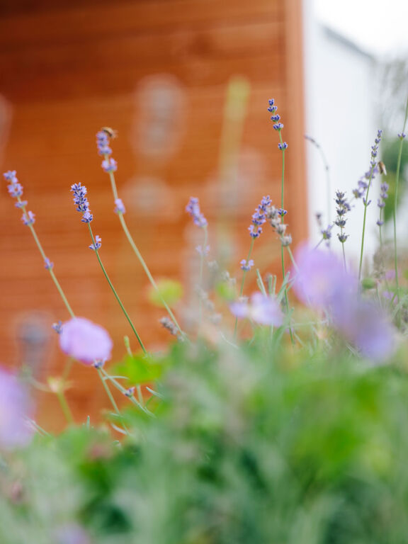 Jurypreis 2018 für unsere Gartengestaltung beim „Schlierseer Gartenzauber“ | Bild | 1